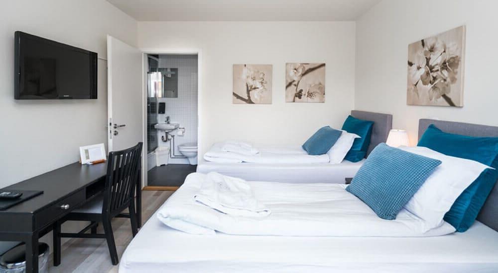 Frost And Fire Hotel Hveragerdi Exterior foto