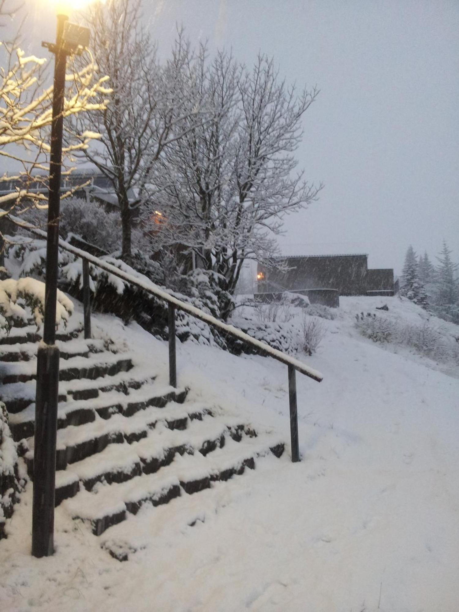 Frost And Fire Hotel Hveragerdi Exterior foto